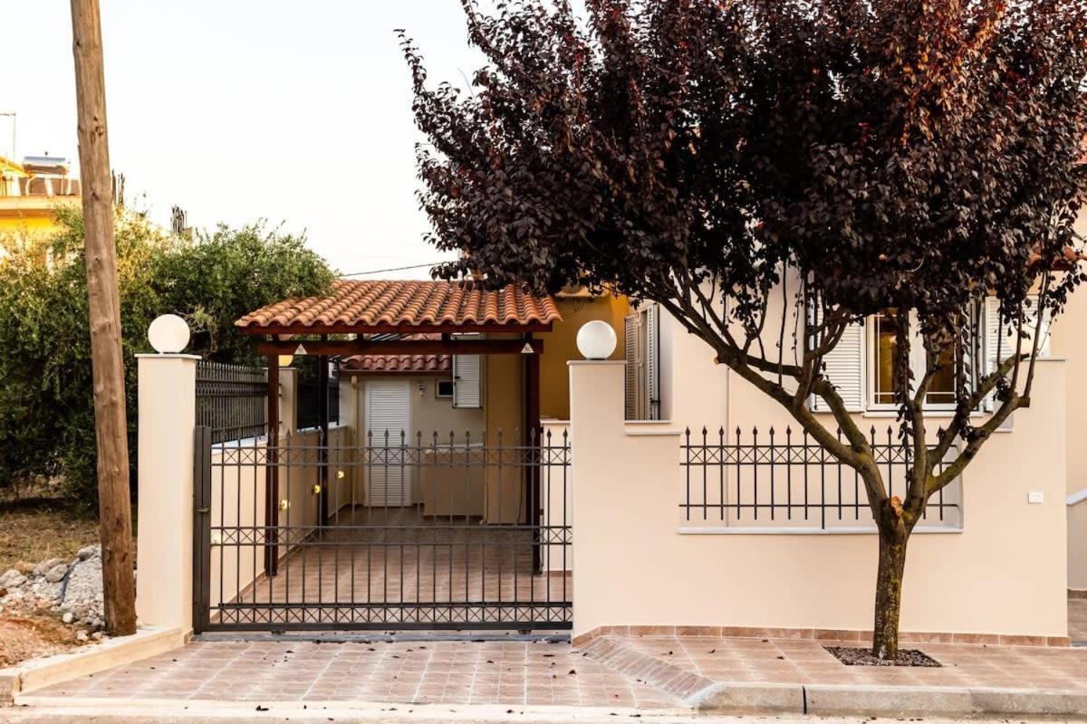 Filiatra Downtown Cozy Retreat - Homely Vibes Exterior photo